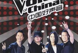 中国好声音导演爆料视频,幕后故事与精彩瞬间
